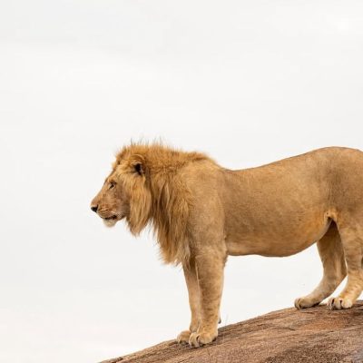 09ed6368-6680-49cb-baa1-4cf04b55b9aa