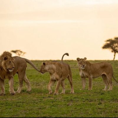 3ec5db71-1421-4d43-85a9-8ac8f6bcfb41