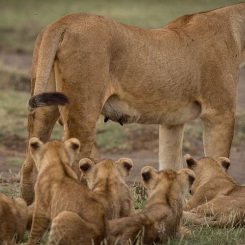 63a97bf0-0b6e-4cf9-993d-1d9b1142c5cb