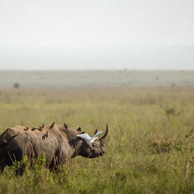 74c63875-e258-4ac2-9964-7e539d24b77f