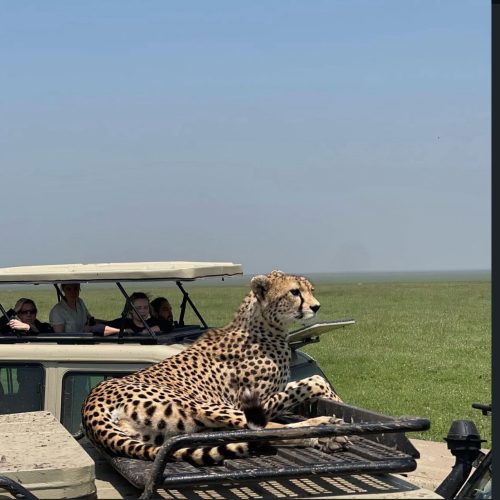 79acfa7b-f0d6-4a12-a877-0d3ee666e3bd