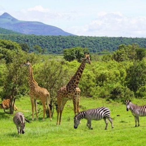 Arusha-national-park1-1