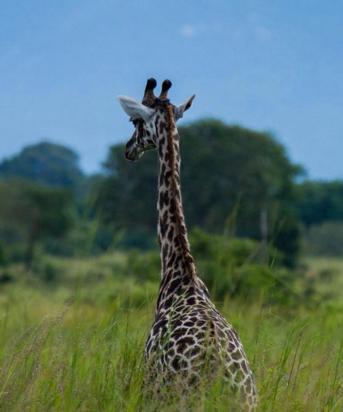 Arusha National Park
