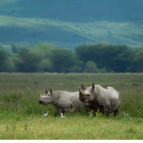 dfc3117a-7b4f-4967-a674-210d271bce46