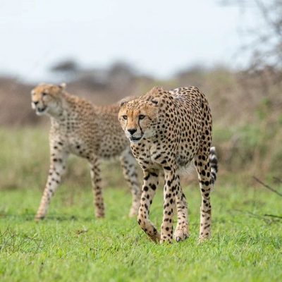 e7948191-e37f-4580-bbfa-740f0cca6432